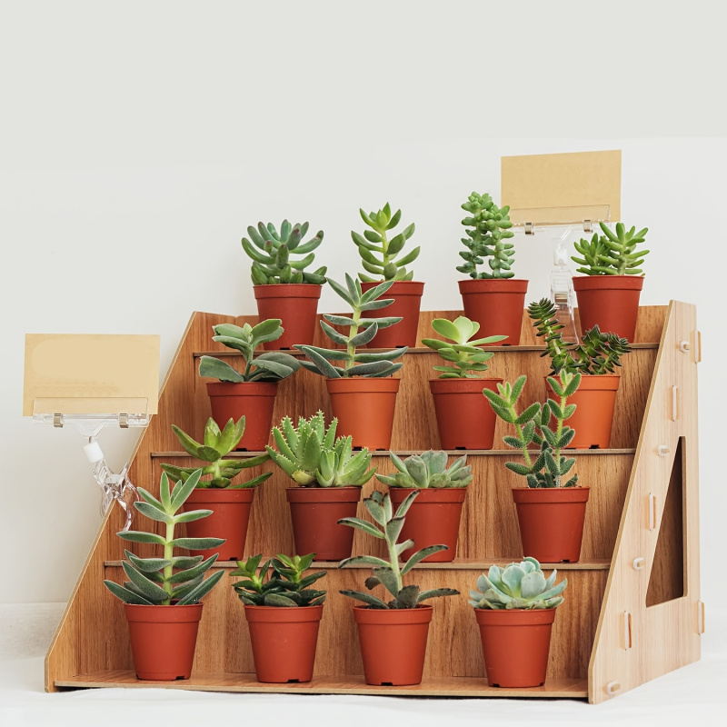 Pop Display Shelf - Houten presentatiestandaard, stand voor een boerenmarkt